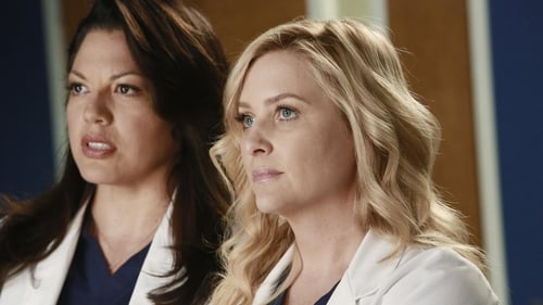 movies/2024-08-24/greys-anatomy-3EwacCtrs20EeIekmwdnoDKaJbO.jpg