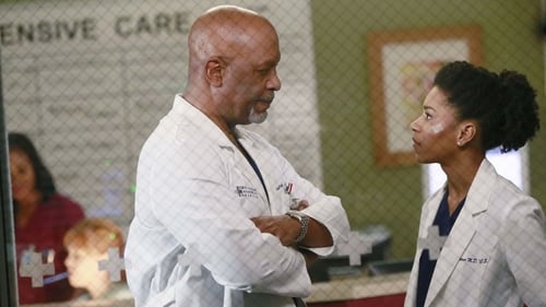 movies/2024-08-24/greys-anatomy-3NcXVvVVAskPv2qFbKtcD8jZMN3.jpg