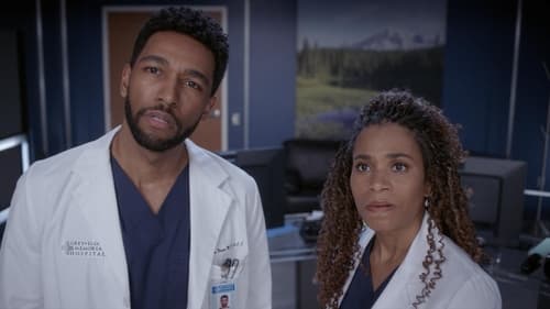 movies/2024-08-24/greys-anatomy-3ZSqvHec7PndR0Jik80xVUjTVmE.jpg