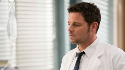 movies/2024-08-24/greys-anatomy-3oiigZ9FUJ1JMiNGT5yqHMVflCp.jpg