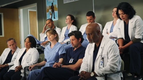 movies/2024-08-24/greys-anatomy-3otzRoeHrdBJ9CwFgeh6yinfF2x.jpg