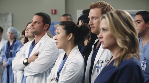 movies/2024-08-24/greys-anatomy-3wpm1iqHHs6vJuWfwd3O0tK2WoT.jpg