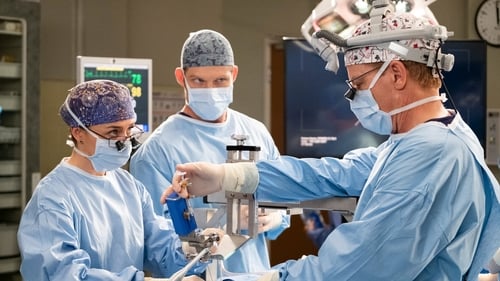 movies/2024-08-24/greys-anatomy-4f4Y6b1Mvxya4vscshEWgfD9PKs.jpg