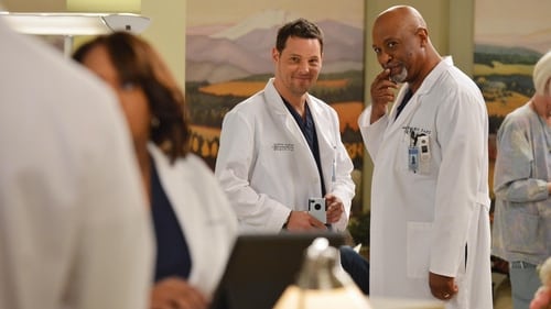 movies/2024-08-24/greys-anatomy-4qKmShKAZZ9kf0uKH1arivNezVw.jpg