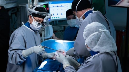 movies/2024-08-24/greys-anatomy-4ujfa1WVhdwTi9N6YLx1eAZqZbM.jpg