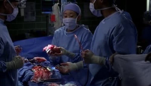 movies/2024-08-24/greys-anatomy-52NlH2vifs5IcL1hJfqQv86r4Wt.jpg
