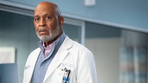 movies/2024-08-24/greys-anatomy-546hnagKFiuGGpPz5qFqmBaOcNA.jpg