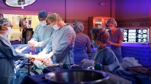 movies/2024-08-24/greys-anatomy-5gAzAwLNfnVqe50ywlzhuI5ybdC.jpg
