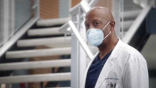 movies/2024-08-24/greys-anatomy-5qUkwtI9OHD9hpbMeiOHN2DXYKi.jpg