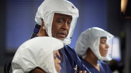 movies/2024-08-24/greys-anatomy-744wzs9lR2b9OBNRVuW2VL3VwF6.jpg