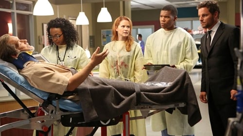 movies/2024-08-24/greys-anatomy-7FyR6oVP6H2FiO86eXpNzqhsHpu.jpg