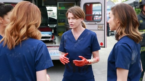 movies/2024-08-24/greys-anatomy-7zCSzWLLcPl8Ie5nROdZUPlFXHK.jpg