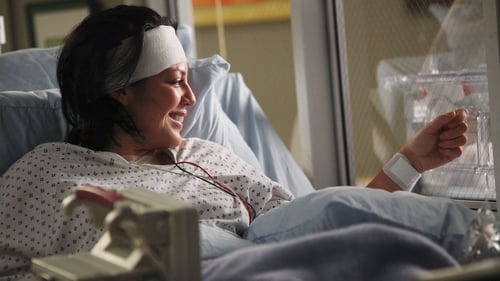 movies/2024-08-24/greys-anatomy-85uAY3ujoi3JfmddanecJYf76CL.jpg