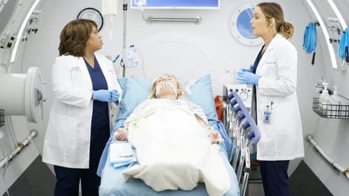 movies/2024-08-24/greys-anatomy-88gPrDU5AfYQuqWvUgXHocQCvPh.jpg