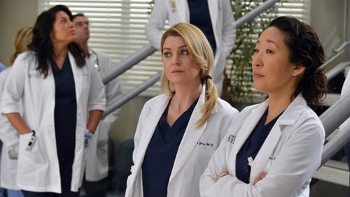 movies/2024-08-24/greys-anatomy-8JyN54vQPJeol2vTqsf7B5zmIkV.jpg