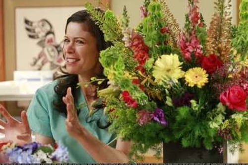 movies/2024-08-24/greys-anatomy-8KRNq9vWzmktbNoKlFSLqf2p1MG.jpg