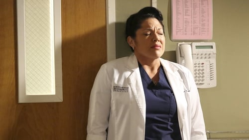 movies/2024-08-24/greys-anatomy-8R82ZAHo8WHJ2MrABdDxBBXoecI.jpg
