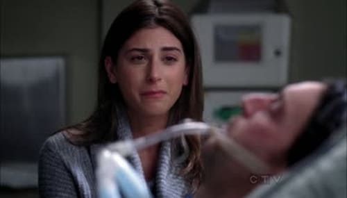 movies/2024-08-24/greys-anatomy-8XSPu0ixdF0y9pGvZxnfyBddAJ1.jpg