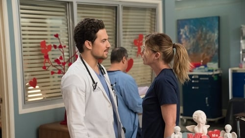 movies/2024-08-24/greys-anatomy-9UYMfkkfRNoX3oPN43YZi7HXNlx.jpg