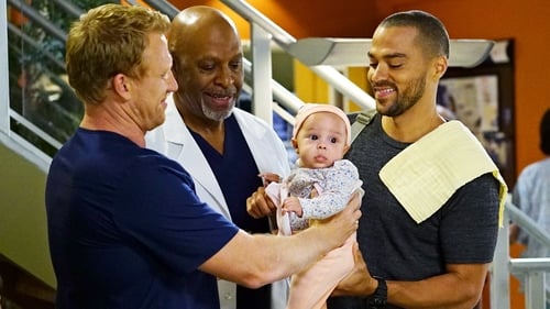 movies/2024-08-24/greys-anatomy-9XCFcwNPUvzQagI9BtePbFLvc5R.jpg