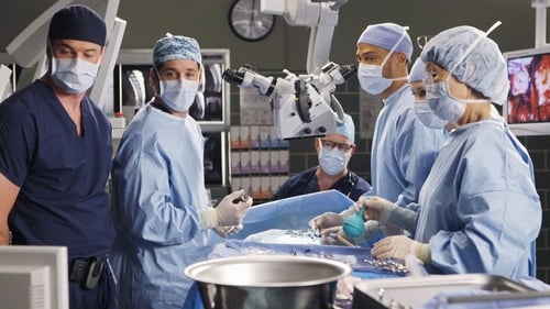 movies/2024-08-24/greys-anatomy-9r6SJ9vDrUcjSf879c0eBEpNrHj.jpg