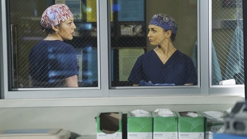 movies/2024-08-24/greys-anatomy-Ar3kdPIMPwc4uokhyANfM6bIZe5.jpg