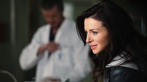 movies/2024-08-24/greys-anatomy-a4ybSGuOWJjj1uzd5vMvqKw4nyj.jpg
