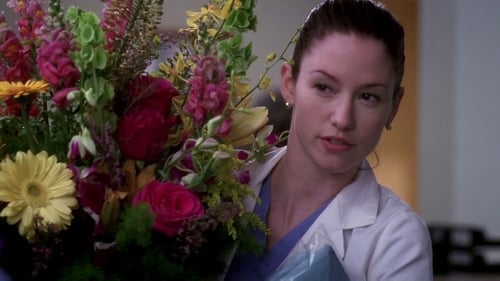 movies/2024-08-24/greys-anatomy-aV7w6cHeGaFJi0hWxpHhmkvPtZ3.jpg