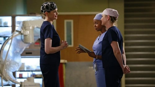movies/2024-08-24/greys-anatomy-adgi2xoOrxjKGO9ZHNG9wCsK71p.jpg