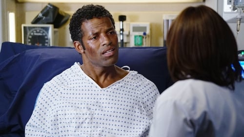 movies/2024-08-24/greys-anatomy-am1T00XYpIMZ66zrQj3c6adIpo3.jpg
