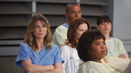 movies/2024-08-24/greys-anatomy-b1HpU5tMWnElgo59gamEEsZlr1X.jpg