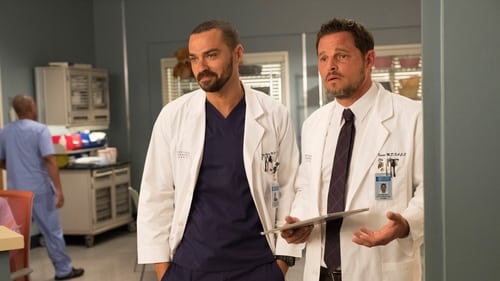 movies/2024-08-24/greys-anatomy-bN9HhEFSQEG5xtGU7RBgC8gGCjG.jpg
