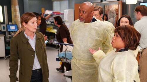 movies/2024-08-24/greys-anatomy-bQ0l9VoV1mYMW10RTb6kiXft7tL.jpg