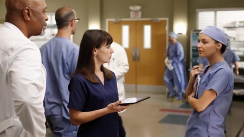 movies/2024-08-24/greys-anatomy-blb1iL7oF9drYNFaIh5bPivrFgn.jpg
