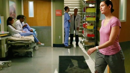movies/2024-08-24/greys-anatomy-bzBeWttL1LuNUBunZnpTXssIjWh.jpg