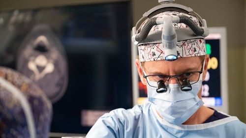 movies/2024-08-24/greys-anatomy-c6ZB83YNt1kJfiUEVbjtJsU2byu.jpg