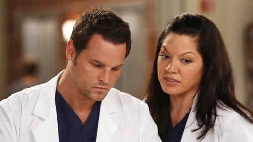 movies/2024-08-24/greys-anatomy-cYiPoAROkWSPNLFkBUHp7FZLA1O.jpg