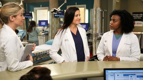 movies/2024-08-24/greys-anatomy-ceUcxwbD0wA9DohADyR2iMhTdMY.jpg