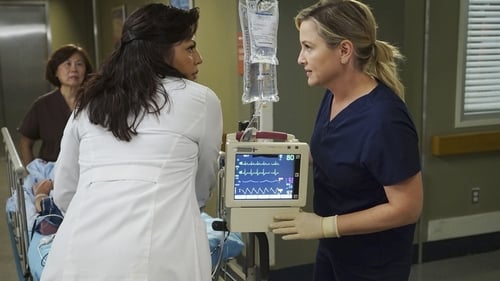movies/2024-08-24/greys-anatomy-chUQc4xNRH8ffFTZbamVNYZKGU4.jpg
