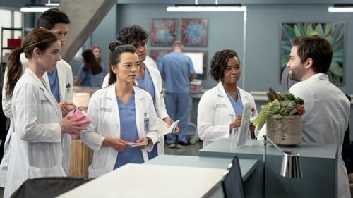 movies/2024-08-24/greys-anatomy-cnliXJYxr2H89HhHUWyZWjvRLi0.jpg