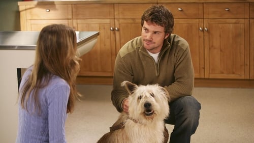 movies/2024-08-24/greys-anatomy-e8ZraM4A0mMcZ4kpiX18X67Ht44.jpg