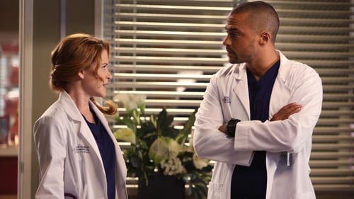 movies/2024-08-24/greys-anatomy-eGtJ6WKUdEkXuFr4IyBhGE8RDAy.jpg