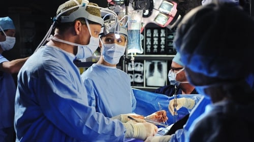 movies/2024-08-24/greys-anatomy-eaAeo0sOemkJLQKIQSdVNTcW2cn.jpg