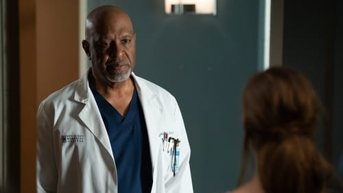 movies/2024-08-24/greys-anatomy-ebF0y7JVdKKbGhrgL9Ku0z2Pgwj.jpg
