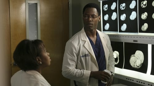 movies/2024-08-24/greys-anatomy-ekbexMN52FEow9JDyulxou7jl8R.jpg