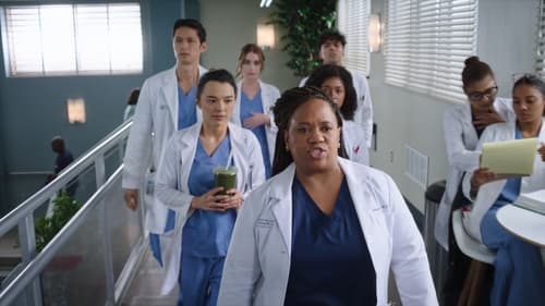 movies/2024-08-24/greys-anatomy-fRn54lJYFNTr3bGsai2MZXkgo5h.jpg