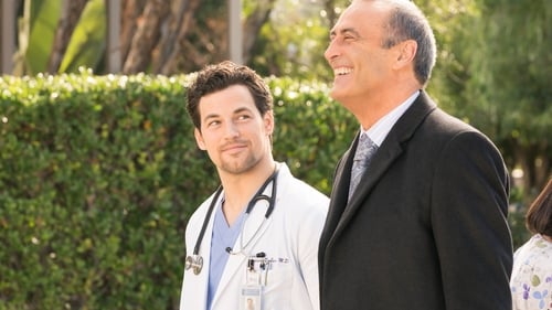 movies/2024-08-24/greys-anatomy-fiU6GZmVGwRsXVrDXAxGdHC8wxt.jpg