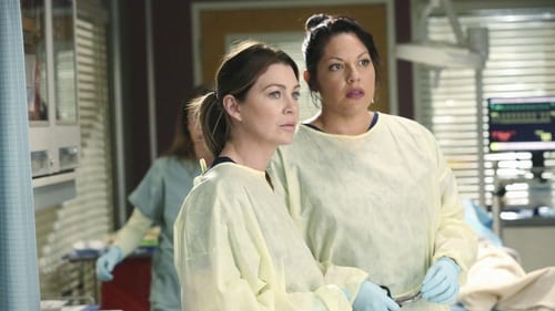 movies/2024-08-24/greys-anatomy-gVqSuwCn3Sx3fwlMRU8Kzz5lwvY.jpg