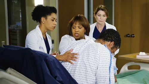 movies/2024-08-24/greys-anatomy-gtzWg2F3eBY4JiY2jkN4GDt1Dl3.jpg