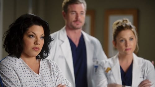 movies/2024-08-24/greys-anatomy-gxAjJKZYrTjgdtLXfZ3imcFCQQl.jpg